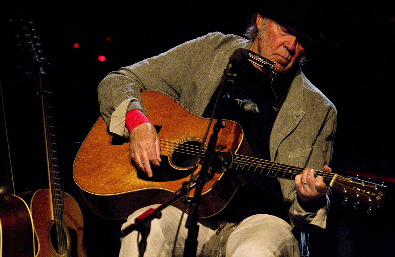 Neil Young în concert