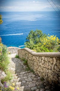 san michele capri bookaholic-15
