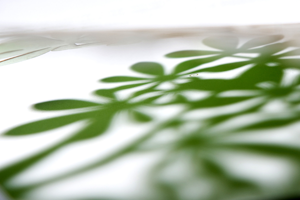 33107d77736d7e668a6f72b9a3e728cd