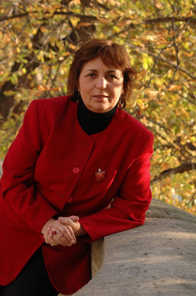 Cronica Anii romantici de Gabriela Adameșteanu