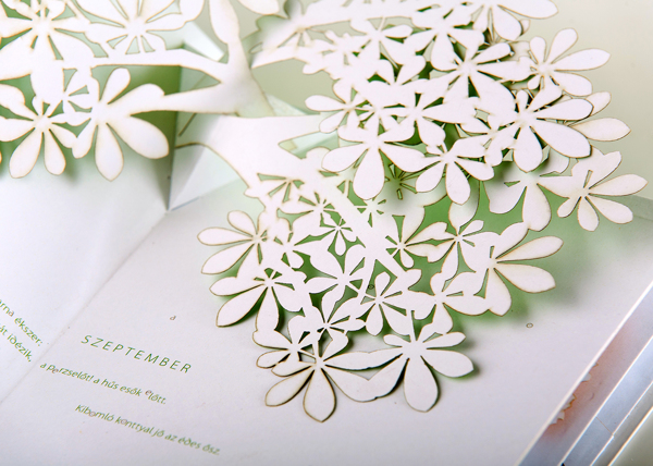 cf4f582d5bfbc43af5243f4ebac49741