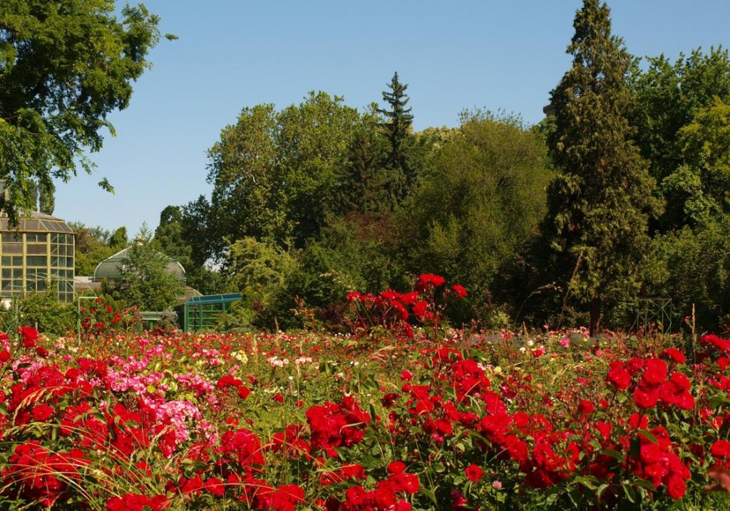 Rosarium