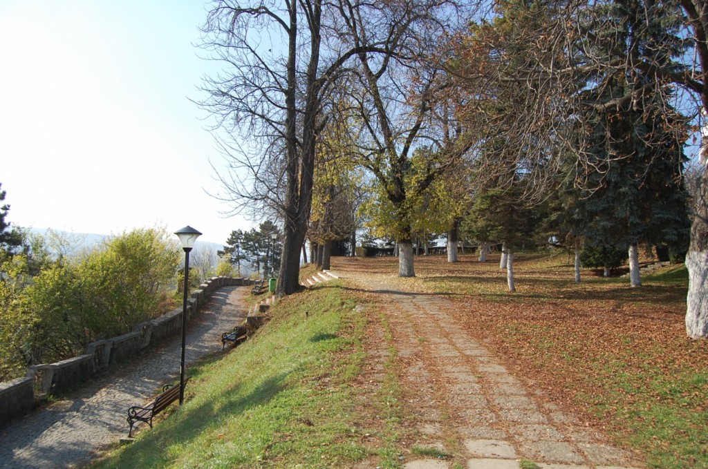 cetatuie Cluj