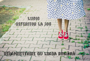 ludic
