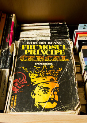 Frumosul principe Cercel
