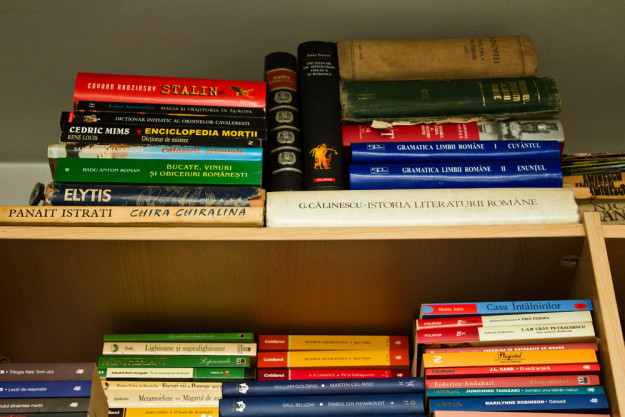 Istoria literaturii, George Călinescu