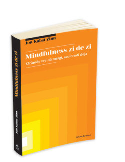 mindfulness_zi_de_zi_persp