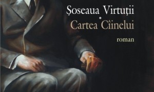 Cristian Teodorescu, Soseaua Virtutii